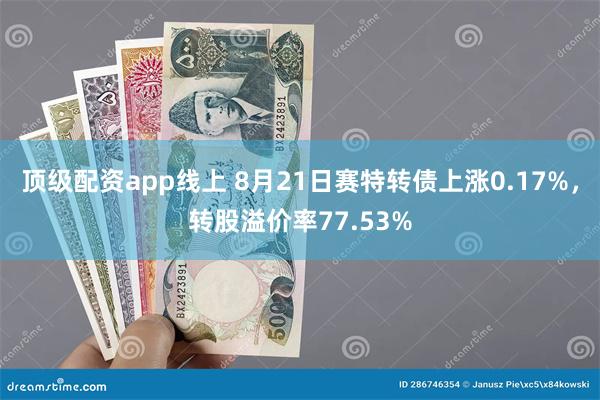 顶级配资app线上 8月21日赛特转债上涨0.17%，转股溢价率77.53%