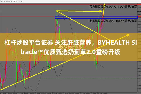 杠杆炒股平台证券 关注肝脏营养，BYHEALTH Silracle™优质甄选奶蓟草2.0重磅升级