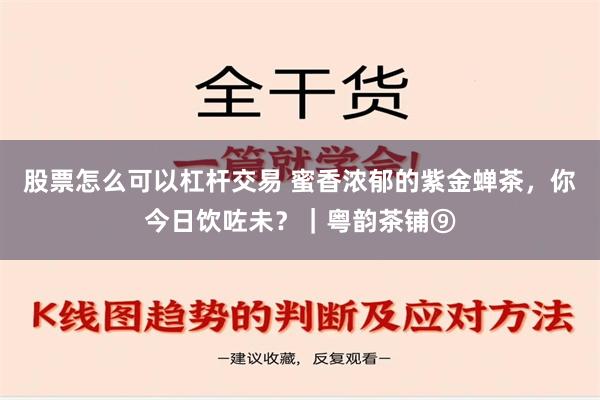 股票怎么可以杠杆交易 蜜香浓郁的紫金蝉茶，你今日饮咗未？｜粤韵茶铺⑨