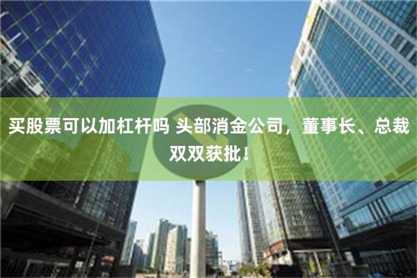 买股票可以加杠杆吗 头部消金公司，董事长、总裁双双获批！