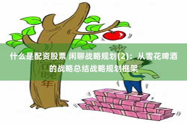 什么是配资股票 闲聊战略规划(2)：从雪花啤酒的战略总结战略规划框架