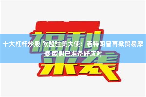 十大杠杆炒股 欧盟驻美大使：若特朗普再掀贸易摩擦 欧盟已准备好应对