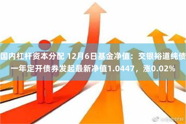 国内杠杆资本分配 12月6日基金净值：交银裕道纯债一年定开债券发起最新净值1.0447，涨0.02%