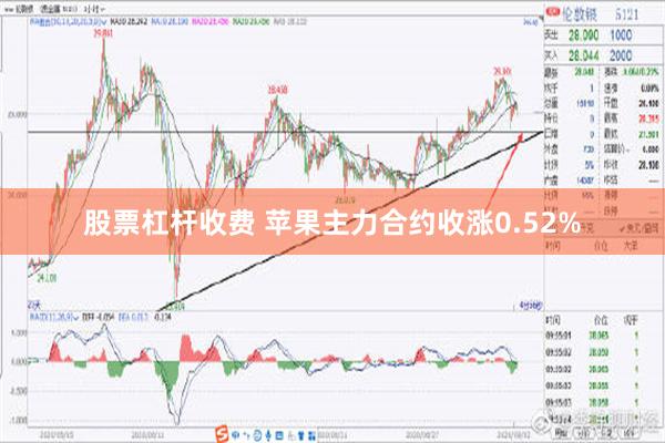 股票杠杆收费 苹果主力合约收涨0.52%