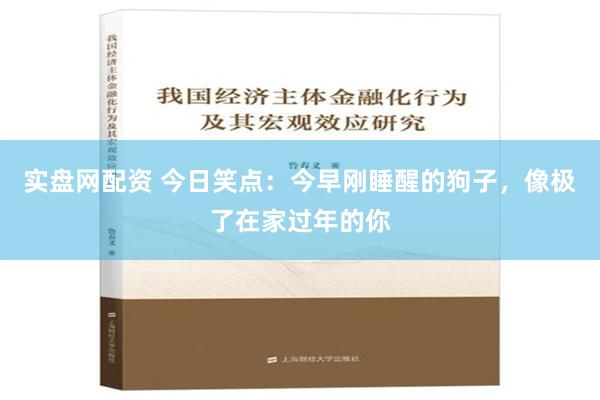 实盘网配资 今日笑点：今早刚睡醒的狗子，像极了在家过年的你