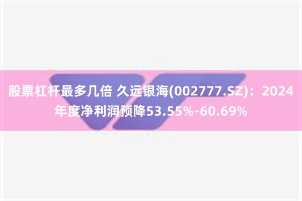 股票杠杆最多几倍 久远银海(002777.SZ)：2024年度净利润预降53.55%-60.69%